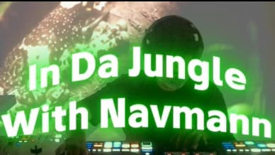 Desi Jungle