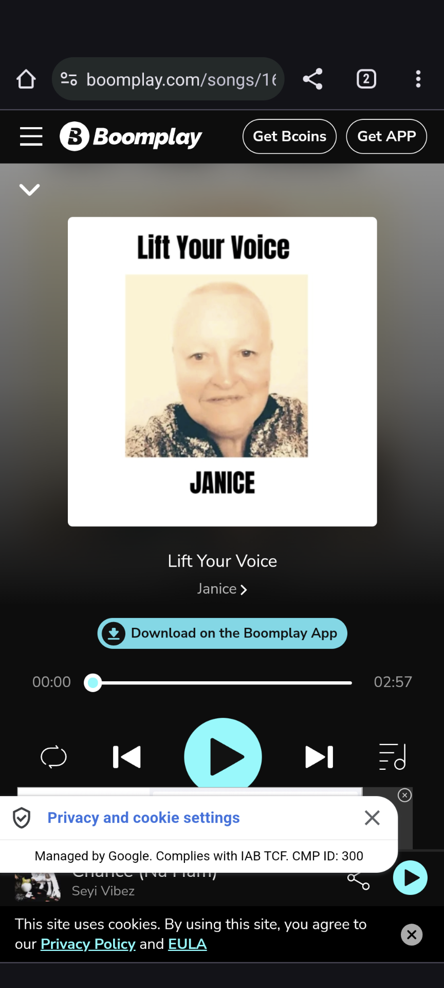 Janice - Lift Your Voice 