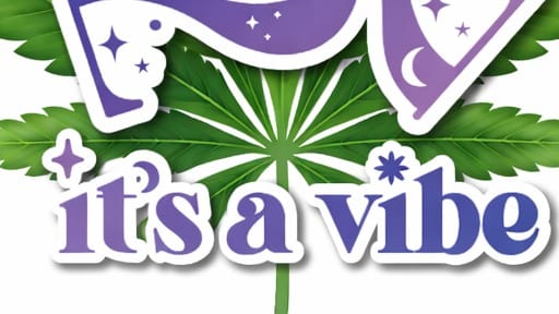 Vibe 22 Global - Stillness School's Video