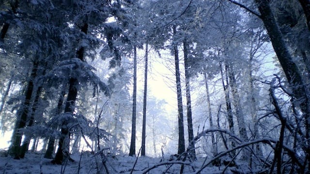 Owen Brown: A Christmas Evening With