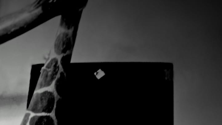 Contemporary Heaven III 