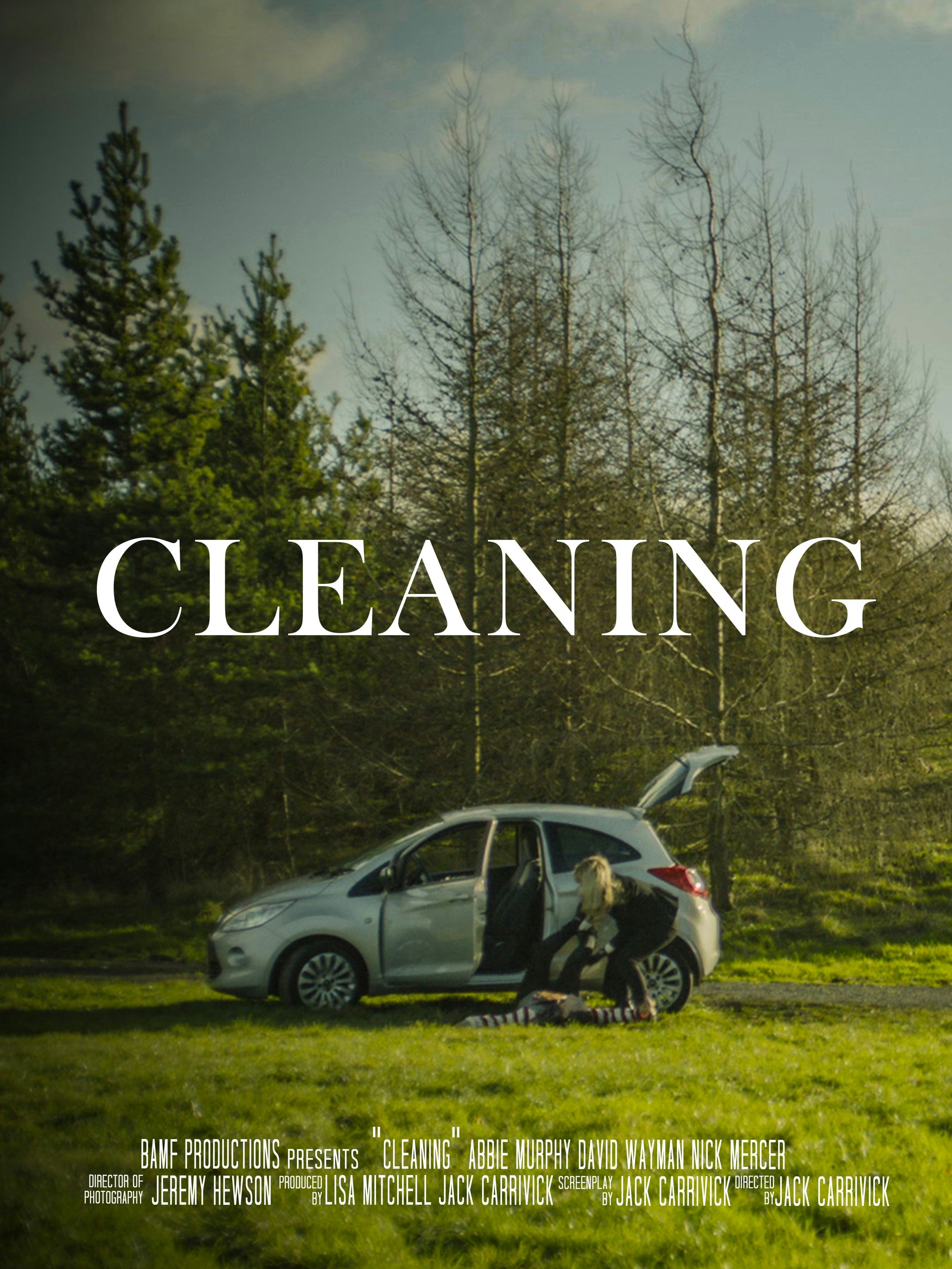 Cleaning 