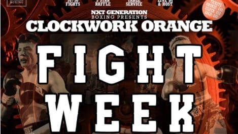 Fight Light's Live Stream