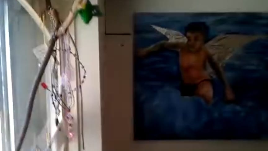 Cheap Art Spaces at Brighton Arts Club footage 2013