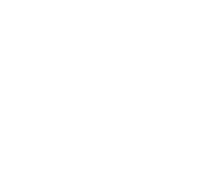 Nile Rodgers