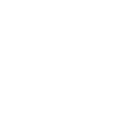 The Who