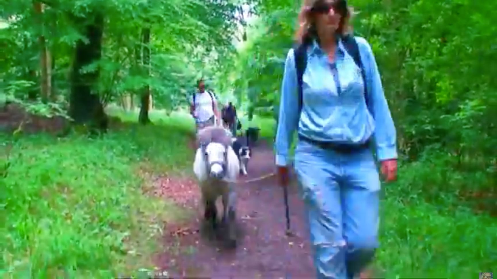 35 miles, 3 days, humans, horses, dogs and the South Downs by Goddamn Media 2011