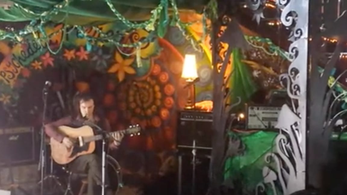 Live music in an indoor forest Festivals at the BAC 2014